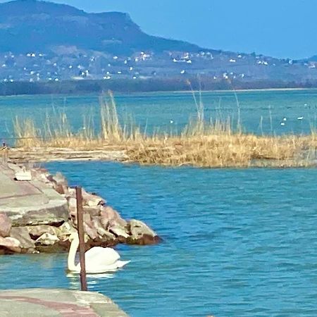 Lavender Cottage Balatongyörök المظهر الخارجي الصورة